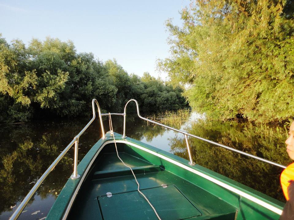 PLIMBARI IN DELTA  - 1045214.jpg